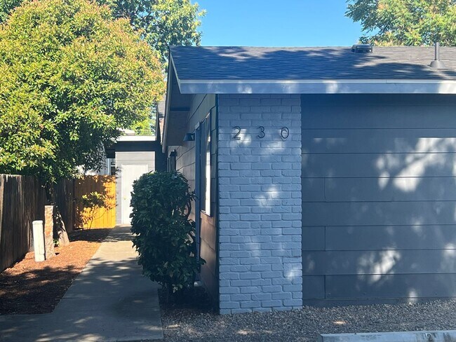 Primary Photo - Cute One Bedroom Apartment in Central Medford | Available Mid December