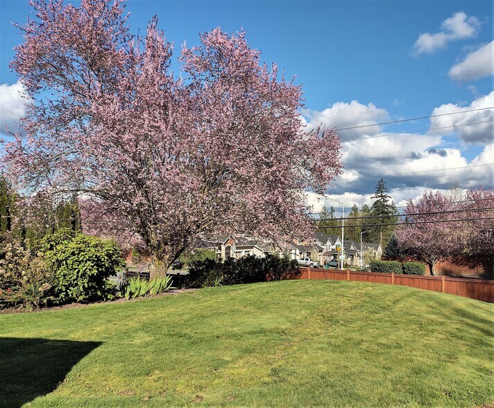 Front Yard - 19918 Damson Rd