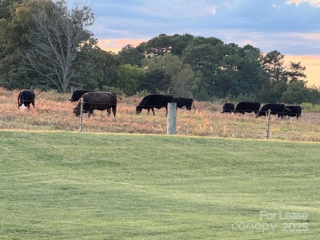 Building Photo - 4241 Burton Ln