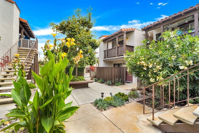 Beautiful landscaped courtyard - 709 Agate St