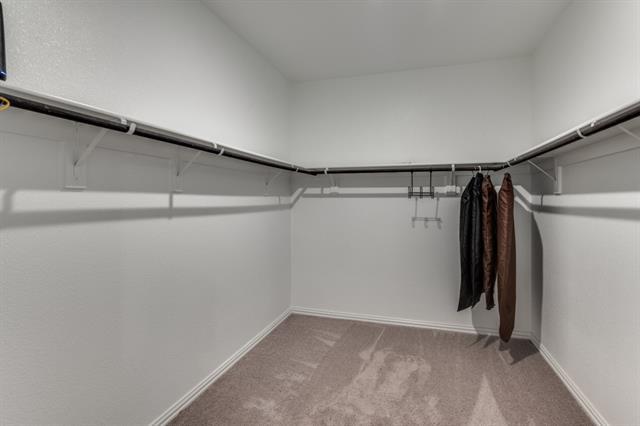 Building Photo - 3217 Paruament Dr