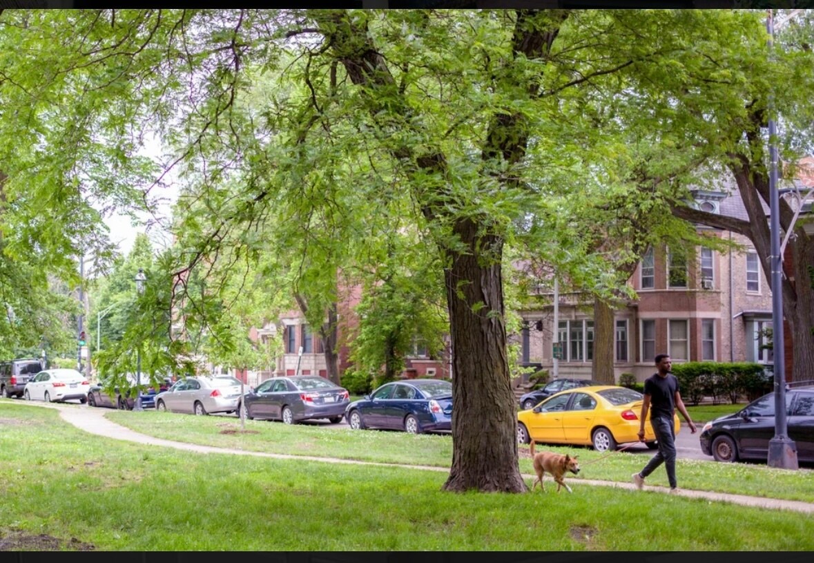Building Photo - 2117 N Kedzie Blvd