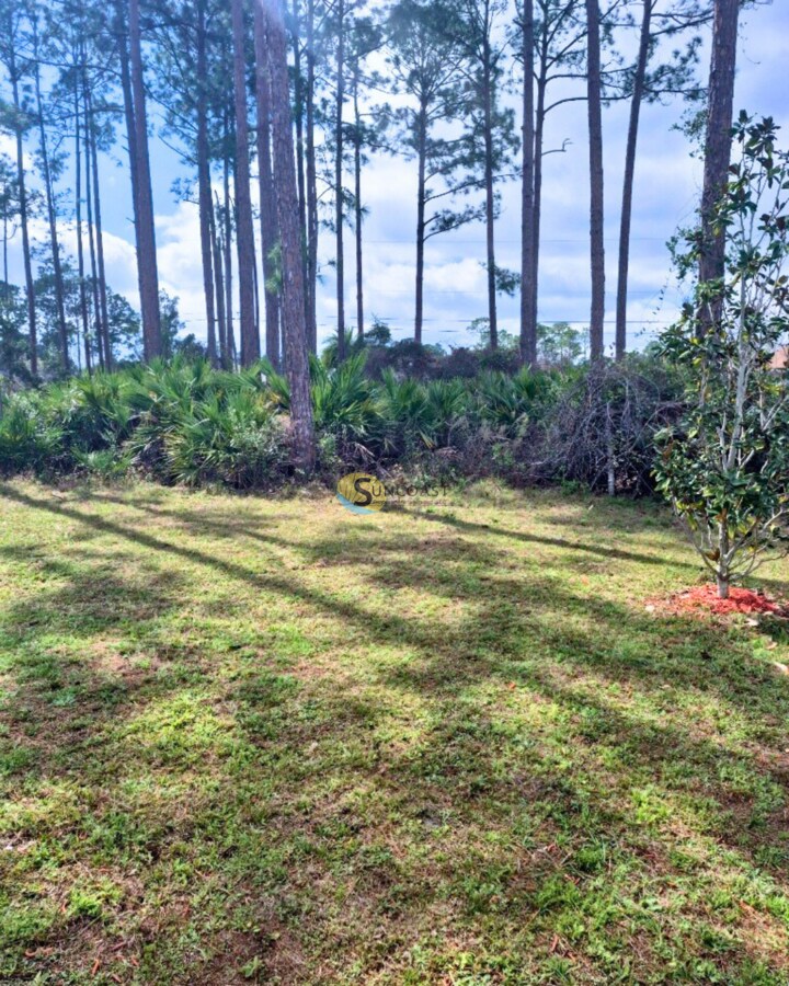 Building Photo - 31 Wood Amber Ln