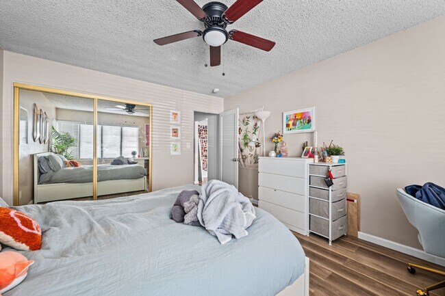 Building Photo - No back house!