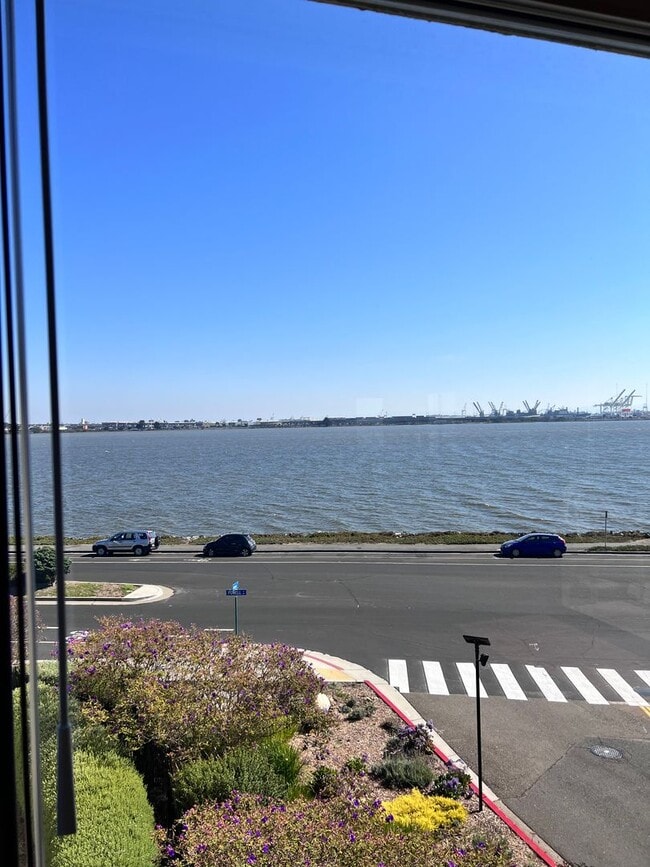 Building Photo - Large furnished one bedroom with spectacular water views