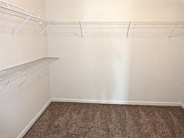 Building Photo - 3705 Sidda Way