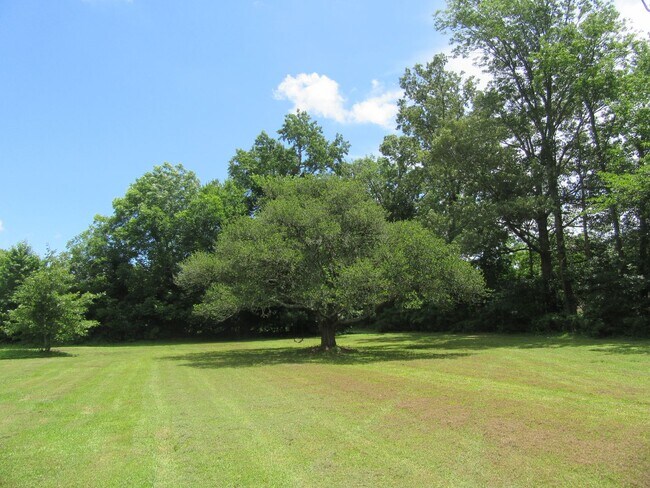 Building Photo - Beautiful Home with a Country Setting
