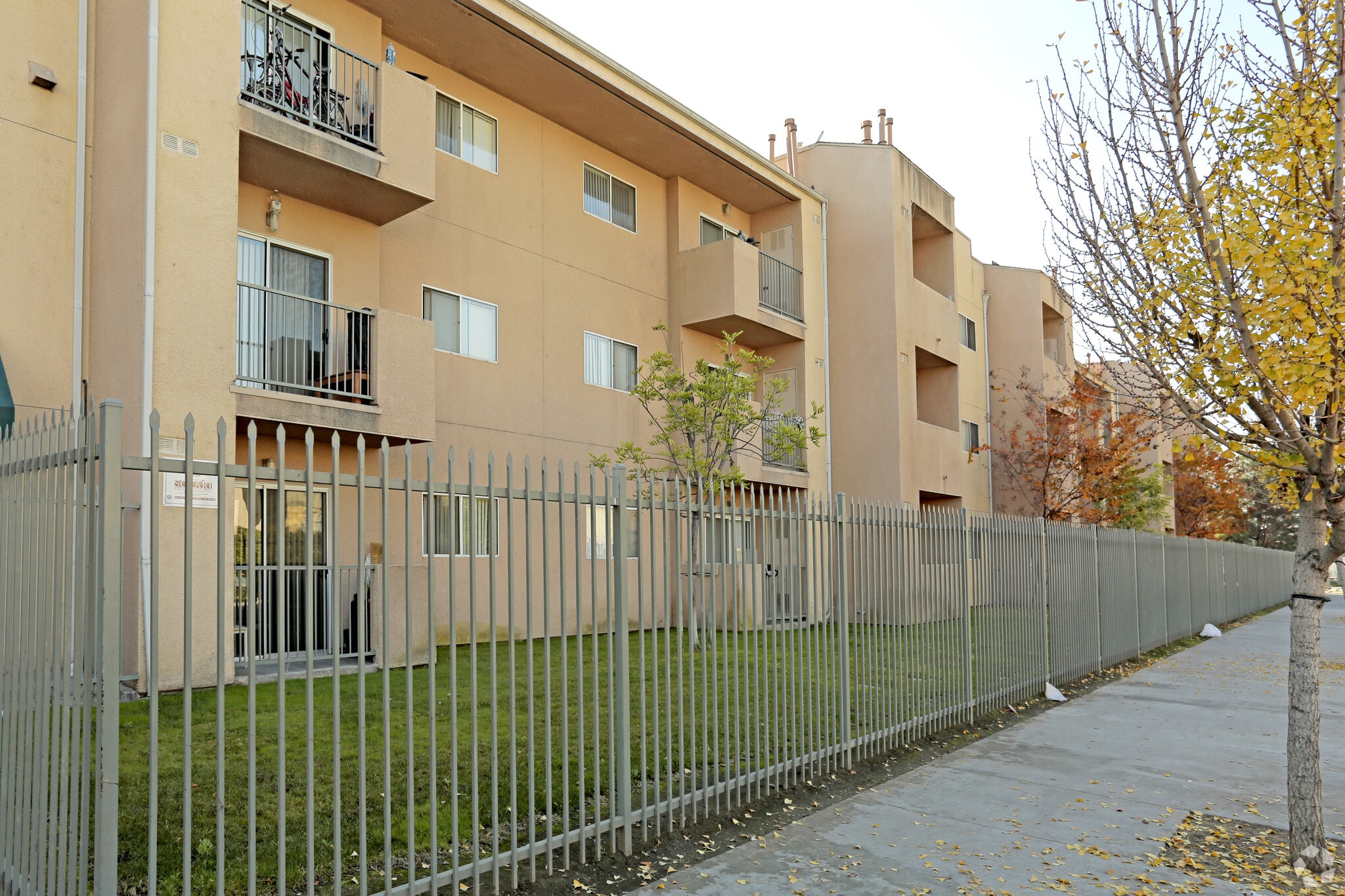 Building Photo - ML Shepard Manor (55+ Community)