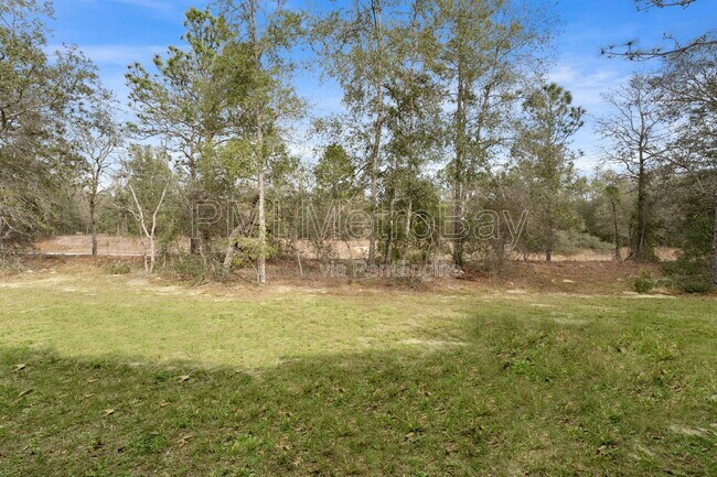 Building Photo - 9461 N Sandree Dr