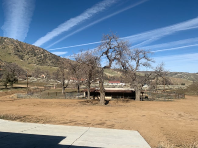 Building Photo - 1042 Squirrel Ln