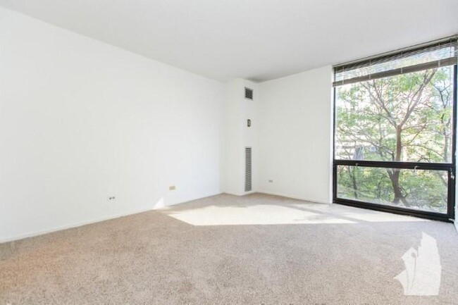 Building Photo - 2 bedroom in Chicago IL 60610