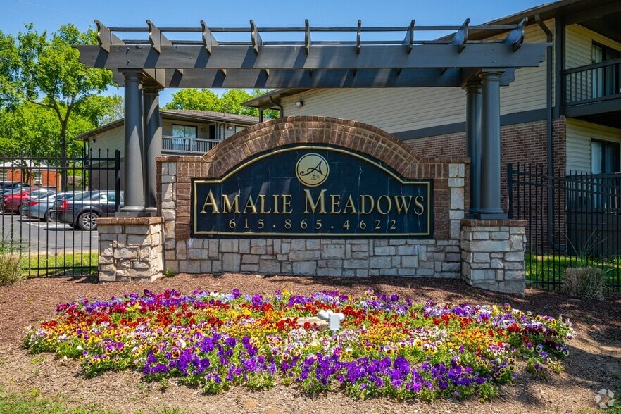 Amalie Meadows - TNAMY Amalie Meadows