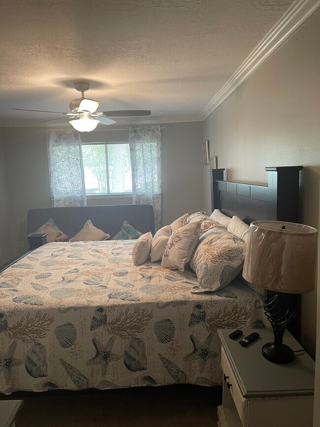 King and Futon in Master, looks over huge backyard - 2931 Valley Rose Dr