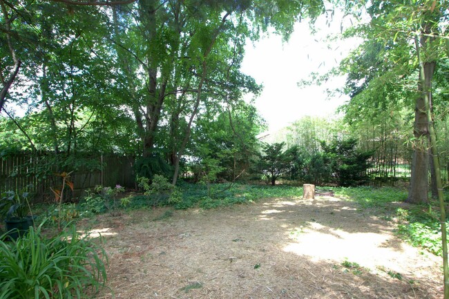 Building Photo - 4-Bedroom 2-Bath Home near Downtown Champa...