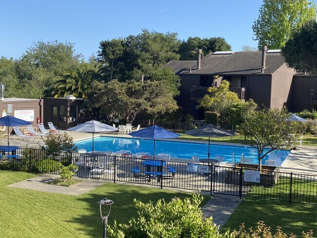Building Photo - STUNNING NEWLY REMODELED CONDO WITH POOL &...