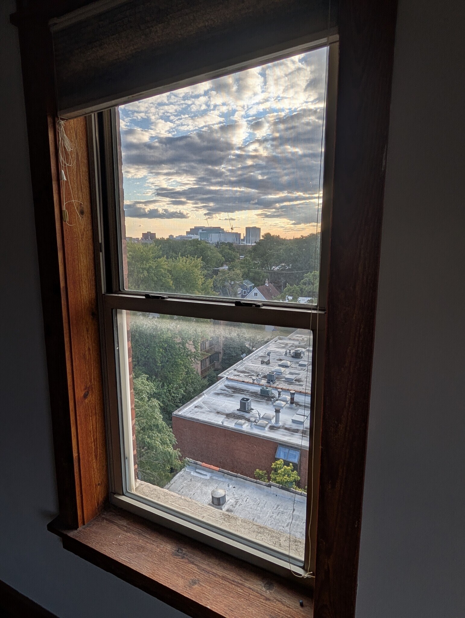 View of U of C medical campus from living room - 5400 S Harper Ave