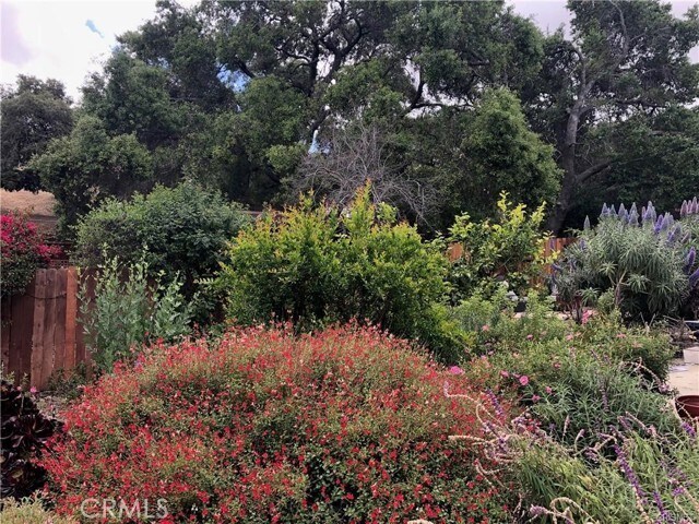 Building Photo - 456 S Skyline Dr