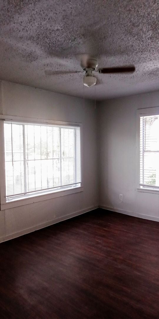 Building Photo - Stylish Central San Antonio Home – 3 Beds,...