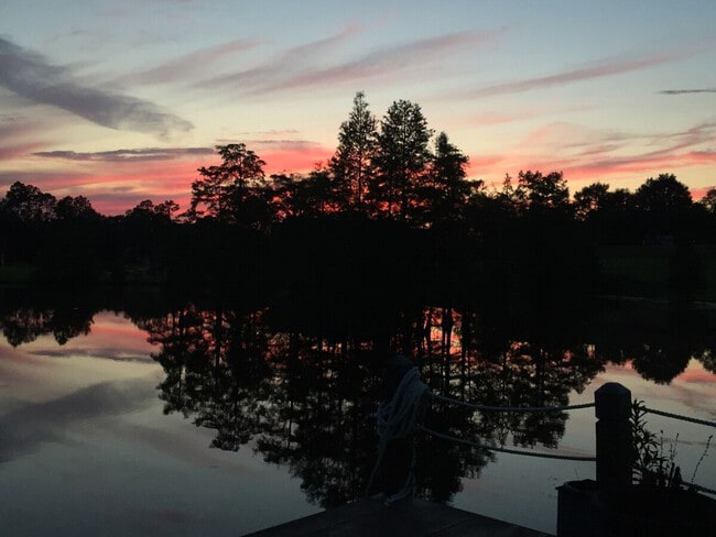 Building Photo - 15076 Audubon Lake Blvd