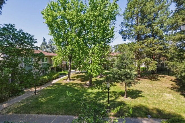 Building Photo - 1245 Pine Creek Wy
