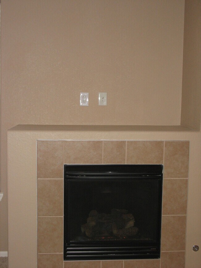 Fireplace - 2855 Blue Sky Cir