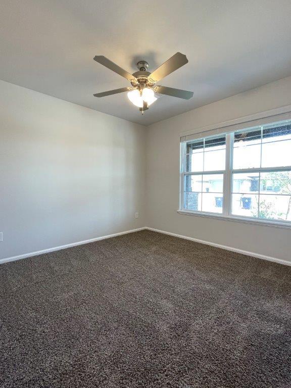 Building Photo - 3409 Piney River Dr