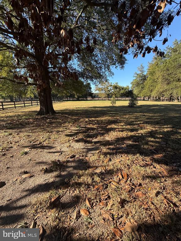 Building Photo - 12441 Ambassador Ln