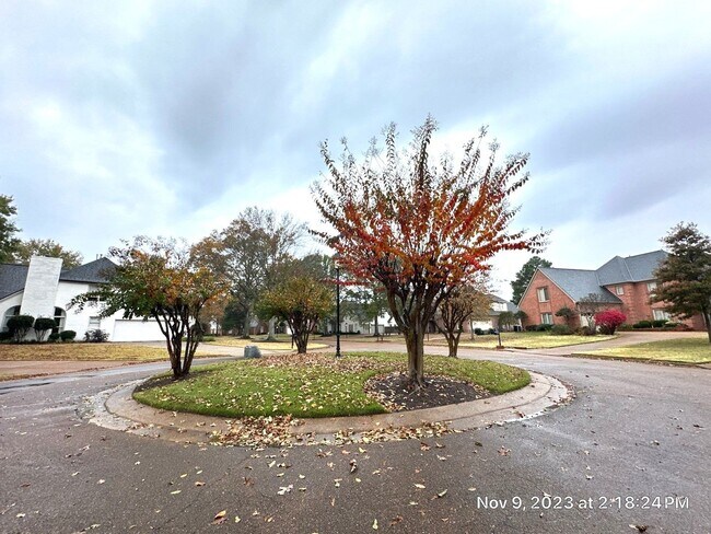 Building Photo - Collierville Home NOW Available on the Gol...