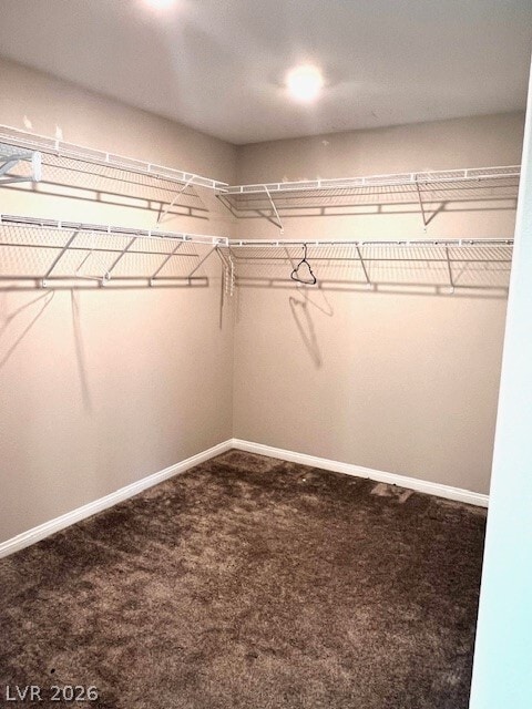 Building Photo - 3479 Bradano Ln