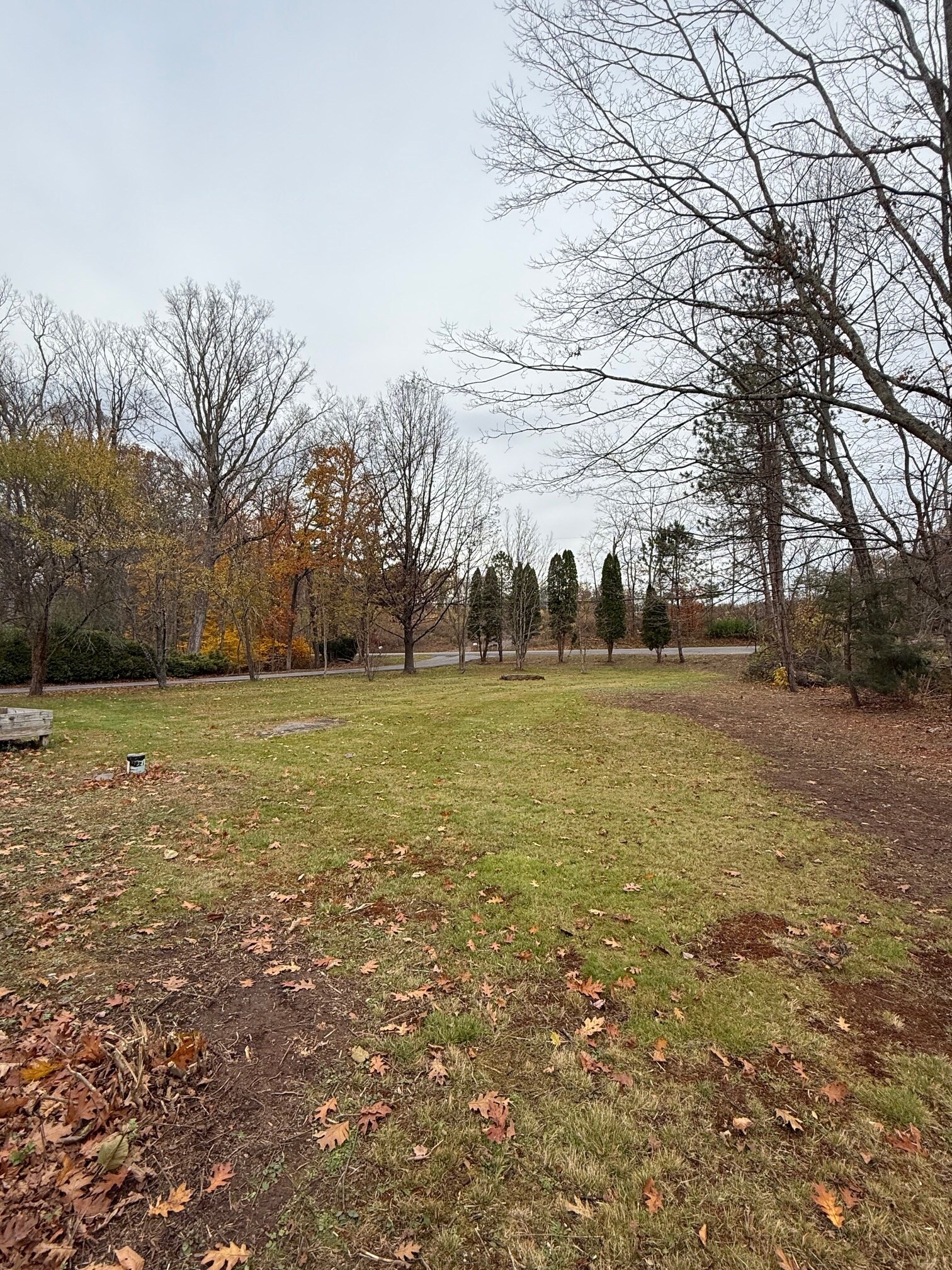 Front Yard - 4387 NY-32