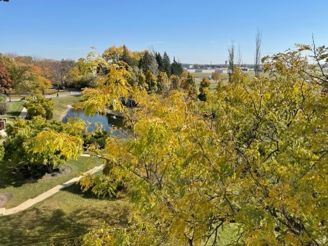 Building Photo - 350 Plum Creek Dr