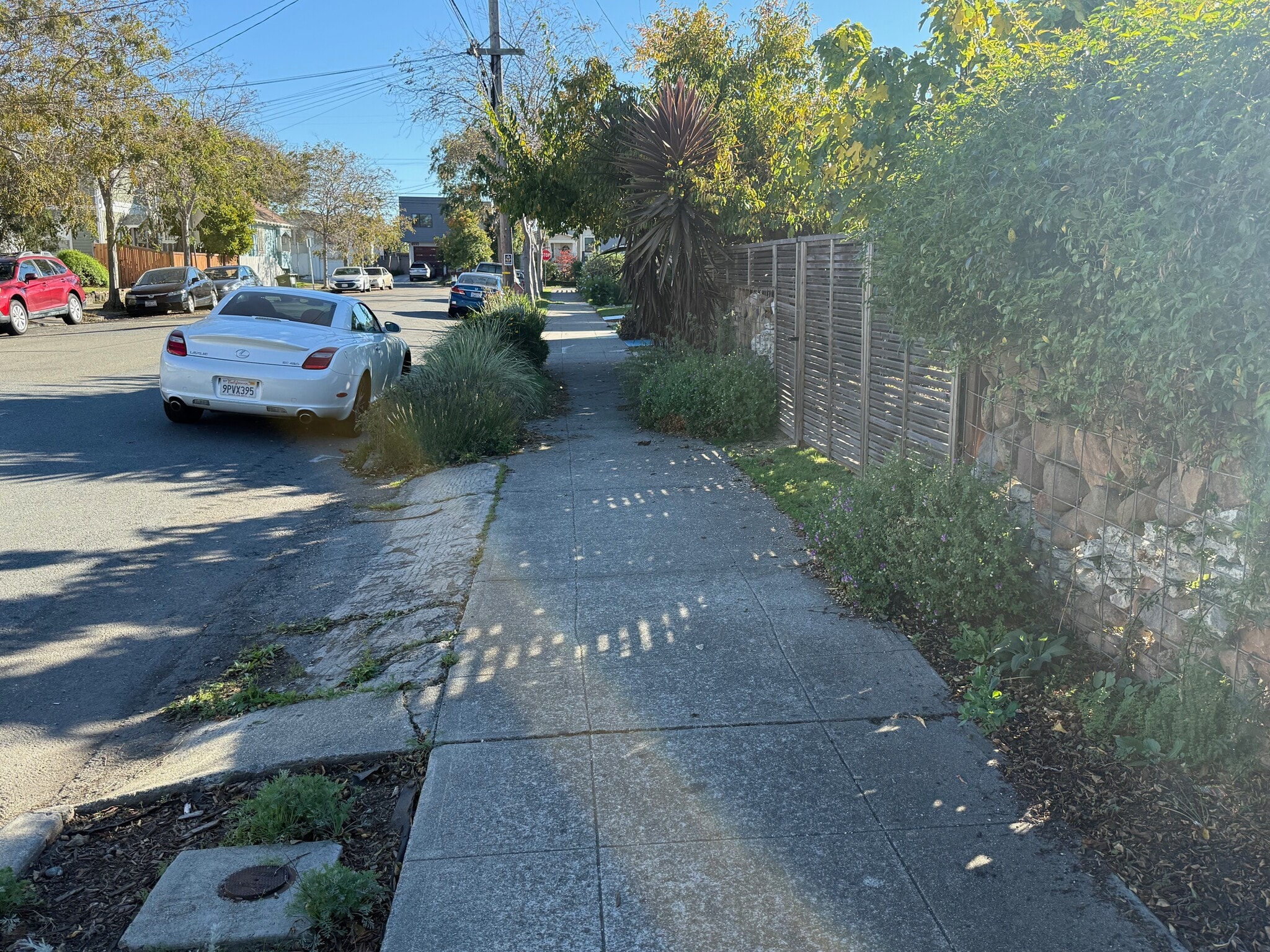 Building Photo - 1258 67th St