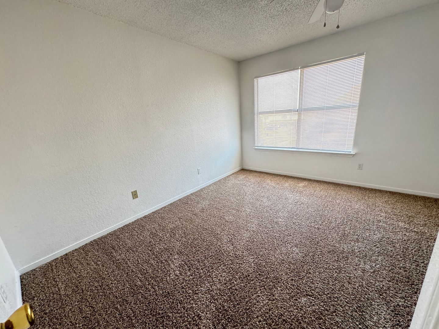 Building Photo - 1306 Monroe Loop