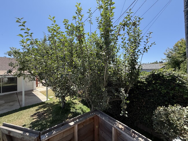 Building Photo - 6204 Avenida Ganso