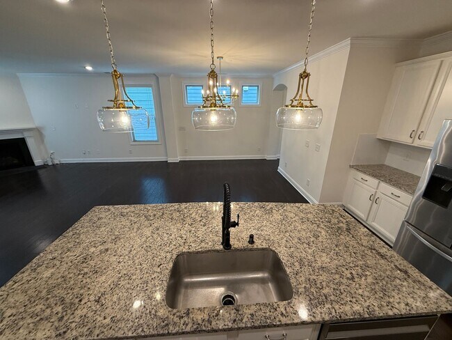 Building Photo - Ballantyne Home in great Location With Sun...