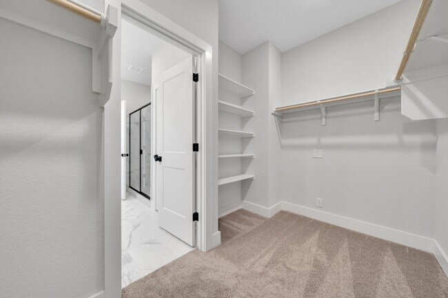 Building Photo - Beautiful 4 Bedroom New Construction Luxur...