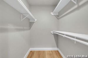 Building Photo - 8610 Timber Briar St