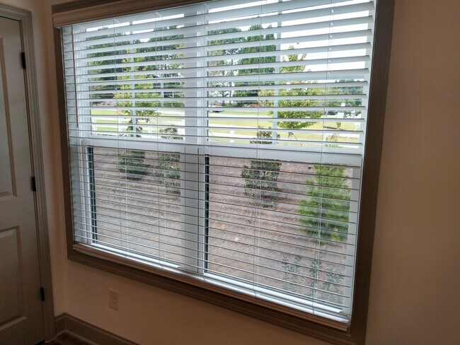 Building Photo - 419 Stovall Pl