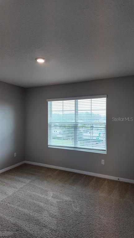 Building Photo - 11237 Amber Ridge Dr