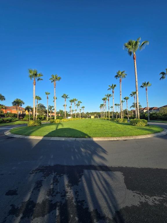 Building Photo - 8923 Cuban Palm Rd