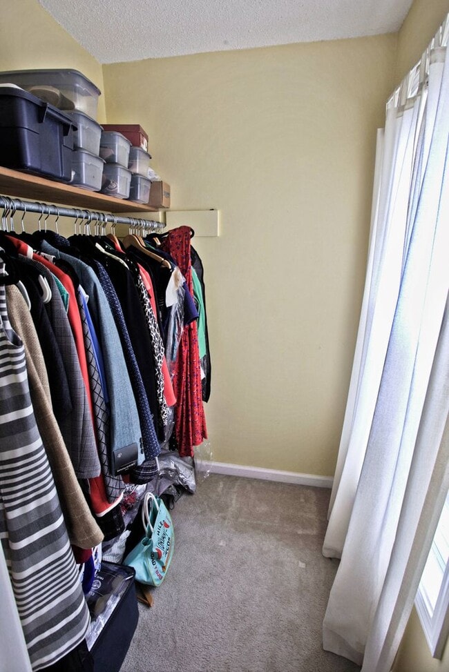 Building Photo - 2627 Holly Rock Dr