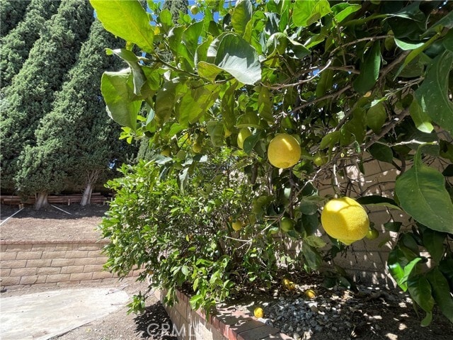 Building Photo - 955 Longview Dr