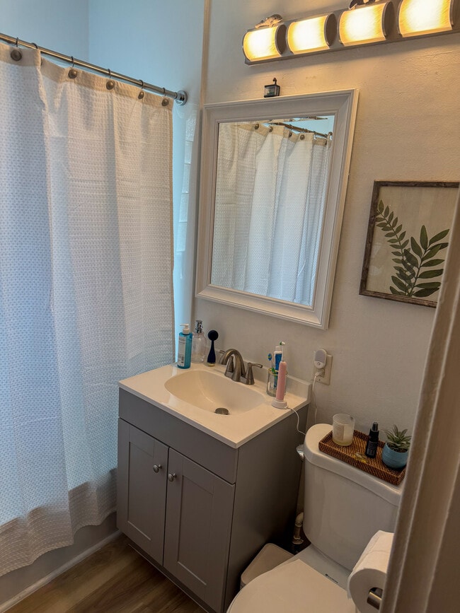 Bathroom - 205 E Bolivar Ave