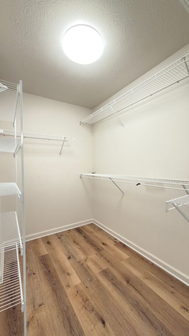 Building Photo - Spacious 3 Bed 2 Bath w/office