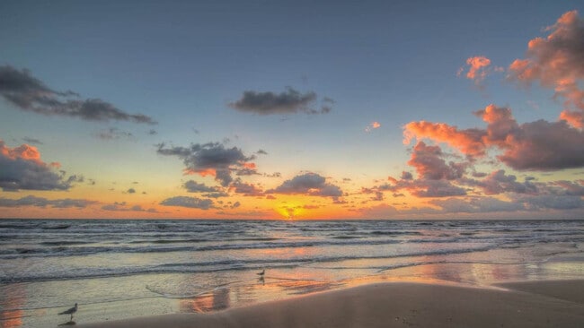 Building Photo - 793 E Oyster Dr