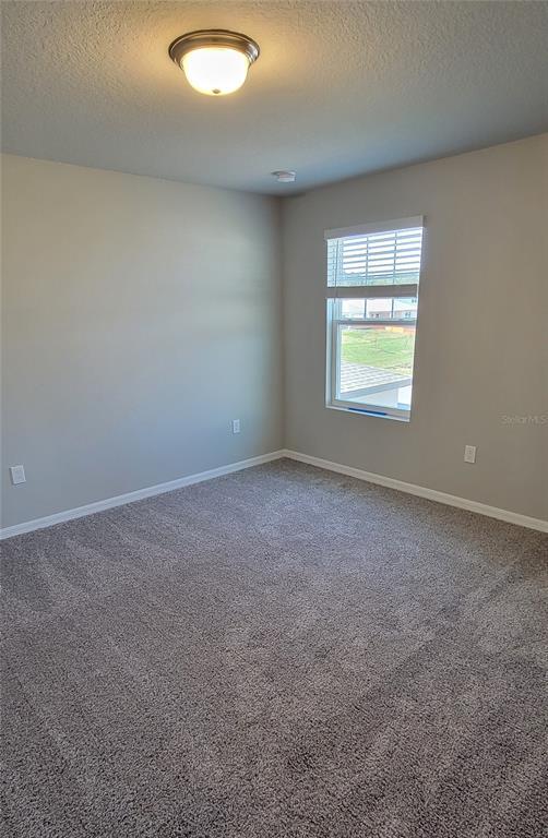 Building Photo - 17317 Cagan Crossings Blvd