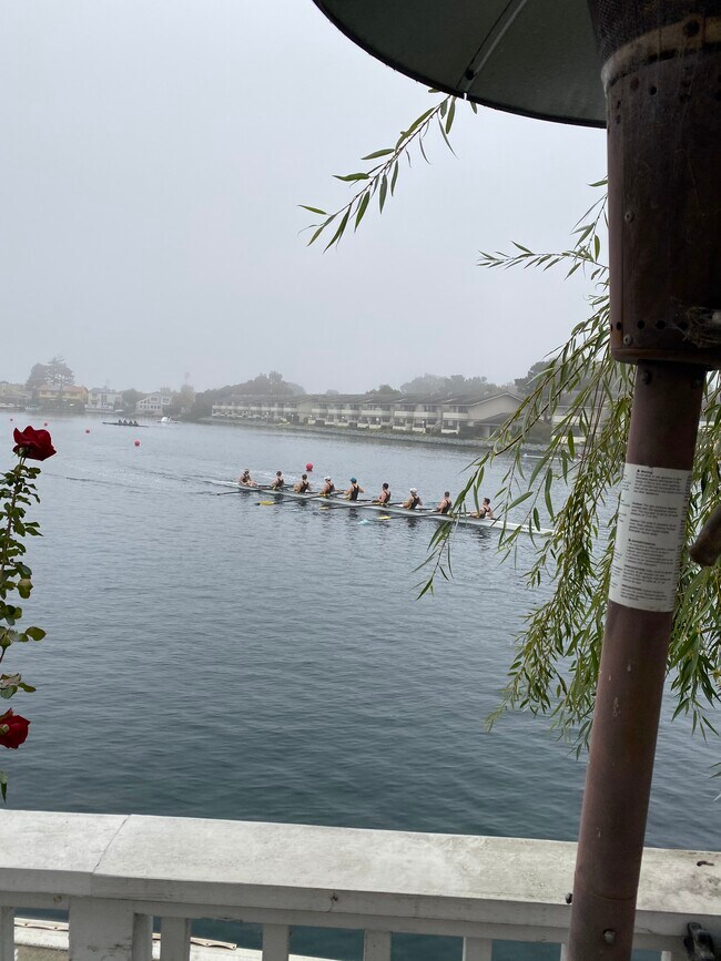 Building Photo - 943 Lurline Dr