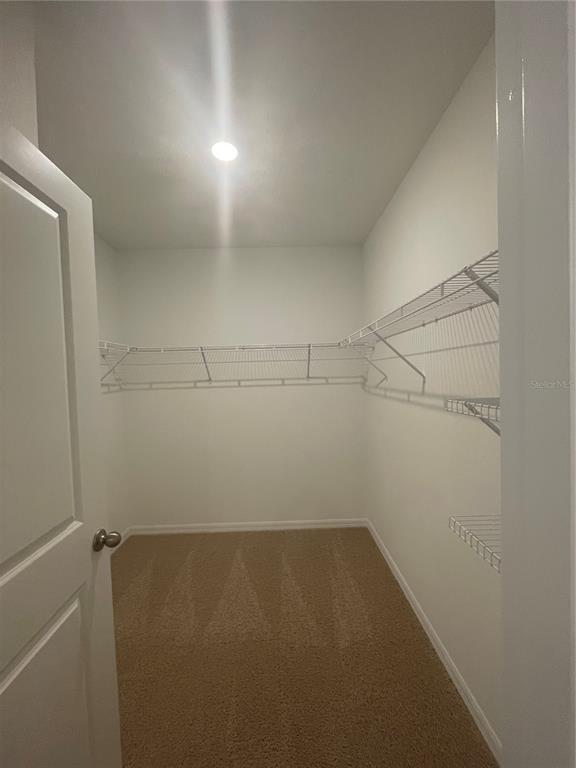 Building Photo - 3417 Amber Waves Dr