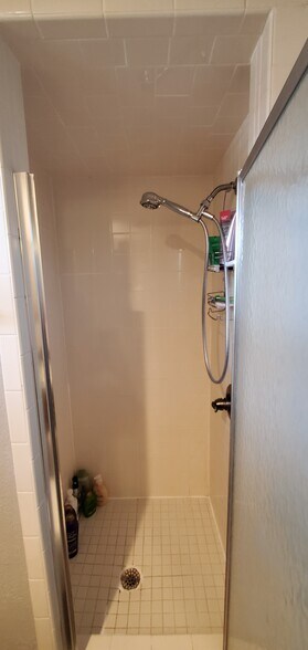Master shower - 4525 Sisk Rd