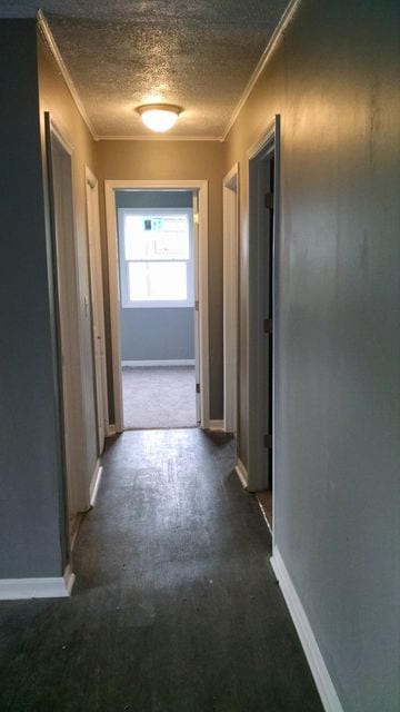 Building Photo - 2275 Union Ave